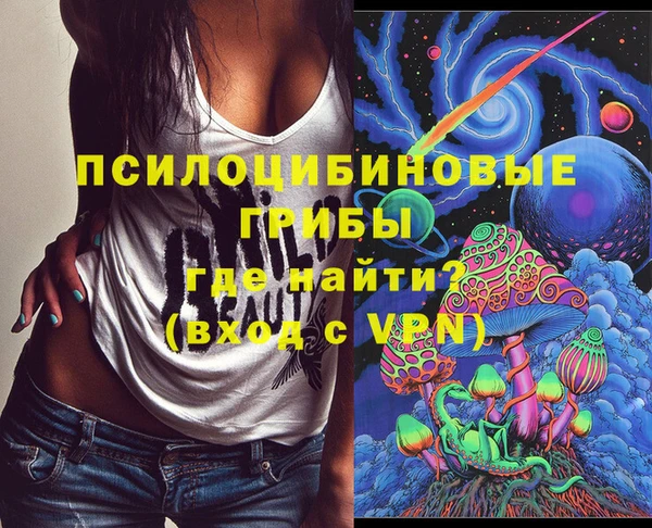 ешки Бронницы
