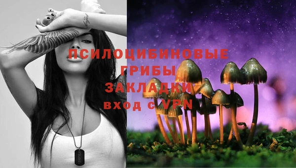 ешки Бронницы