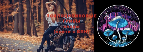 ешки Бронницы