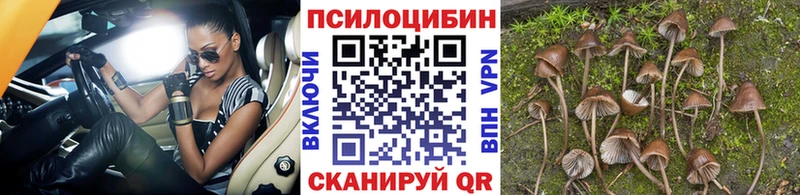 Псилоцибиновые грибы прущие грибы  Волчанск 